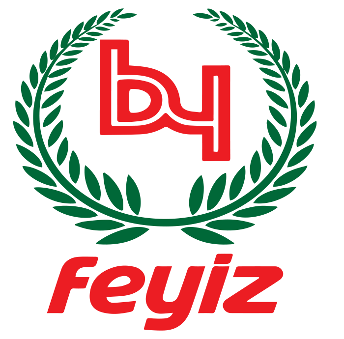 feyiz logo